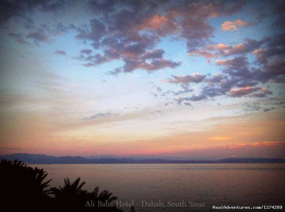 view of the Gulf of Aqaba from terrace | Ali Baba Hotel Dahab | Image #19/26 | 