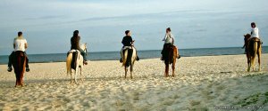 Horseback Riding on the Beach | Cape San Blas, Florida | Horseback Riding & Dude Ranches