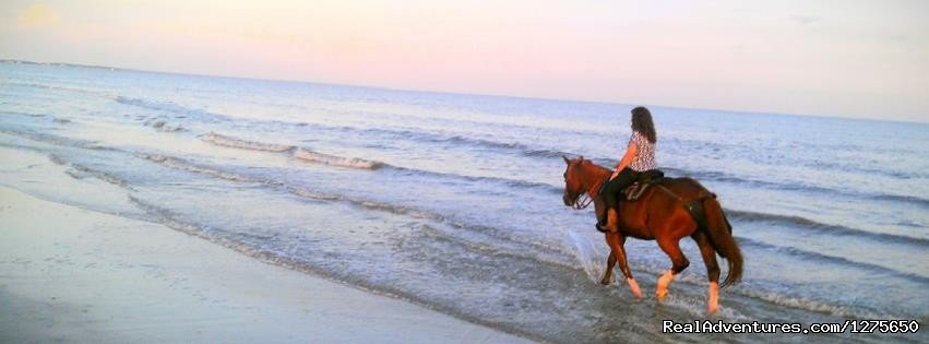 Horseback Riding on the Beach | Image #5/6 | 
