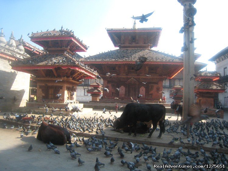 Kathmandu Durbar | Kathmandu World Heritage Sightseeing - Day Tours | Image #4/5 | 