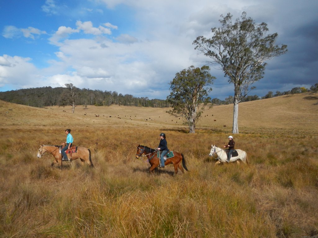 Beautiful Scenery | Horse Riding in the Hunter Valley | Image #3/4 | 