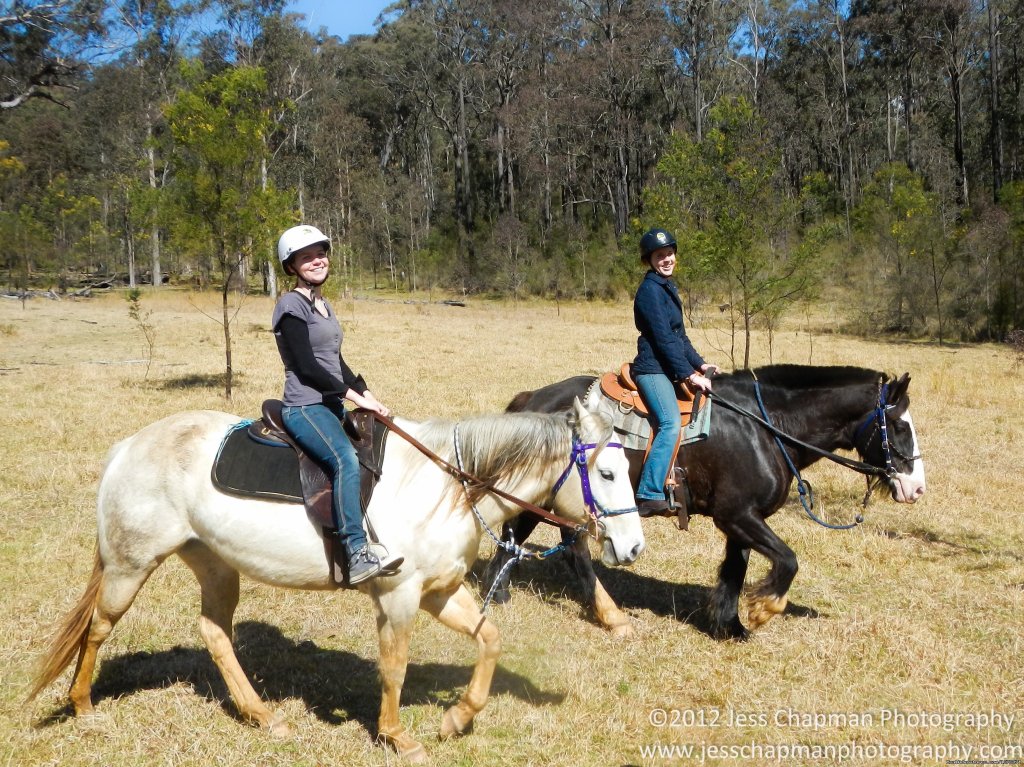 Safe, Reliable Horses | Horse Riding in the Hunter Valley | Image #4/4 | 