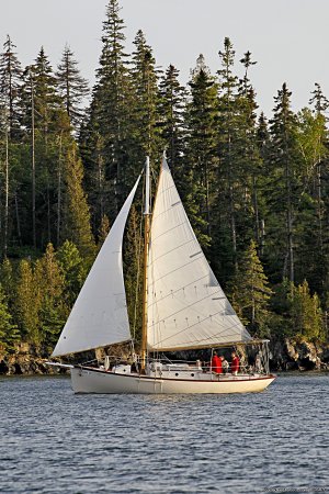 Custom Sailing Charters from Rockland, Maine | Rockland, Maine Sailing | Great Vacations & Exciting Destinations