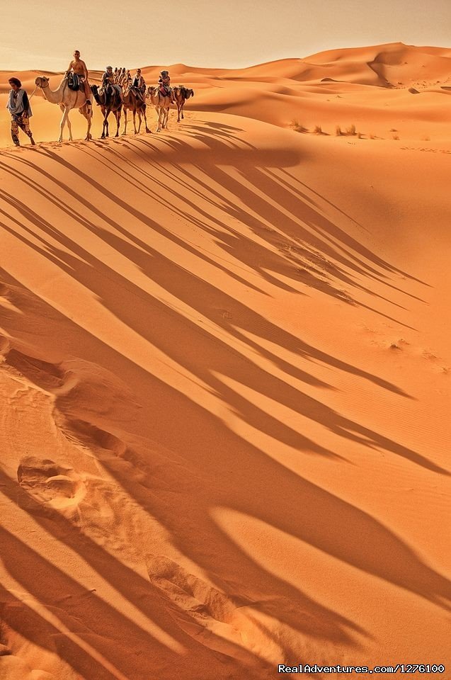 Desert Trips | Morocco Private Tours - Desert Trips -camel Trek | Image #6/12 | 