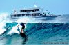 Maldives boat trips. ( Surfing , Diving , Fishing) | Male, Maldives