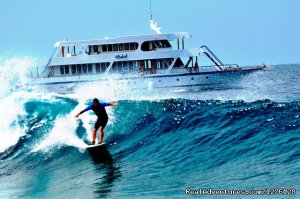 Maldives boat trips. ( Surfing , Diving , Fishing)
