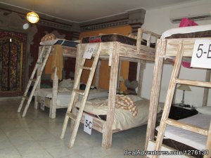 Great backpackers meeting place | Sanur, Indonesia Youth Hostels | Lombok, Indonesia
