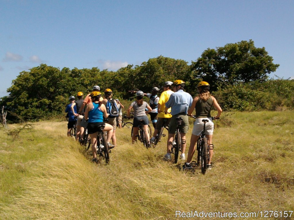 Nevis Bike Tours and Rentals | Image #3/12 | 