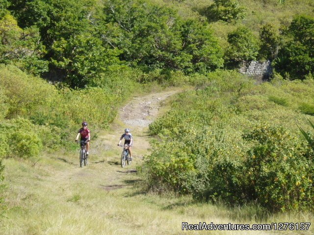 Nevis Bike Tours and Rentals | Image #4/12 | 