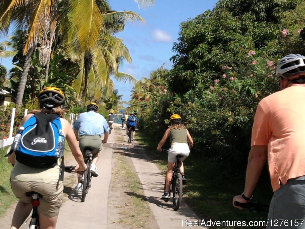 Nevis Bike Tours and Rentals | Image #7/12 | 