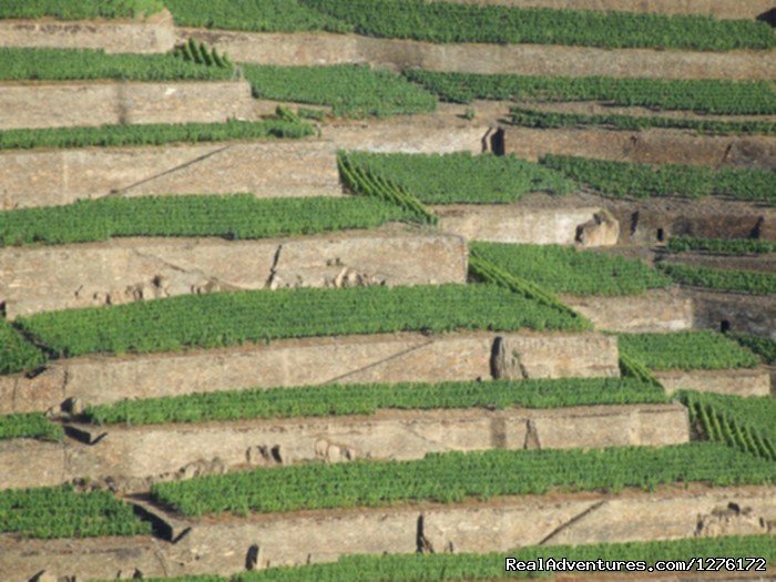 Douro Landscape | Douro Vineyards Hike 8D | Image #4/16 | 