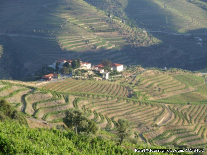 Landscape Douro | Douro Vineyards Hike 8D | Image #8/16 | 