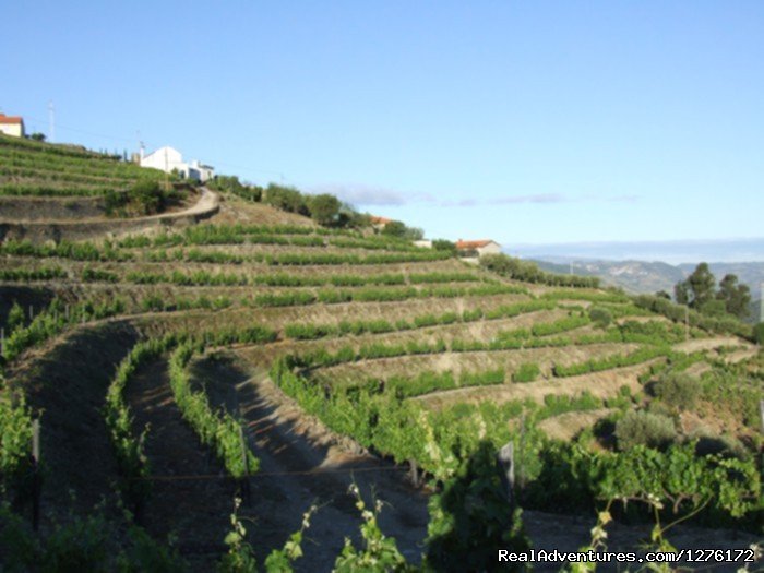Douro Vineyards Hike 8D | Image #12/16 | 
