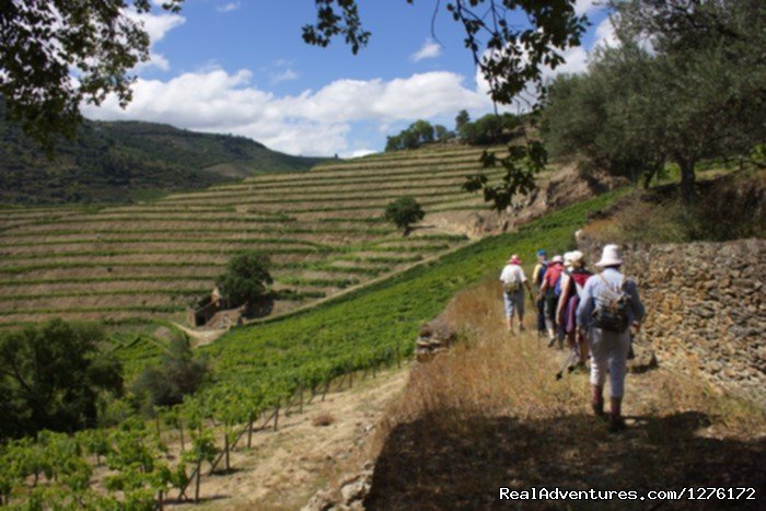 Hiking in Douro Landscape | Douro Vineyards Hike 8D | Image #13/16 | 