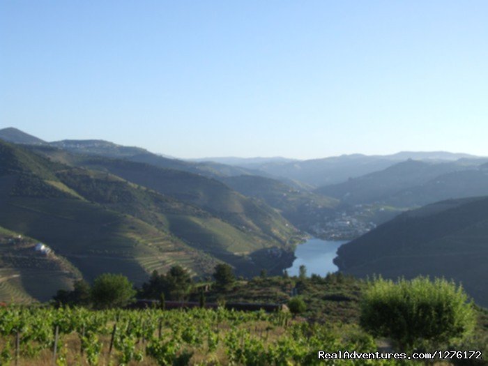 Douro Vineyards Hike 8D | Image #16/16 | 