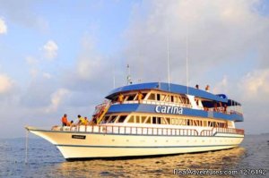 MV Carina Liveaboard Maldives