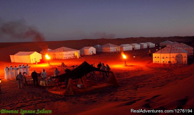 IGUANASAHARATOURS MARRAKECH MOROCCO 4x4 | Traveling In Morocco Day Tours Marrakech | Image #21/25 | 