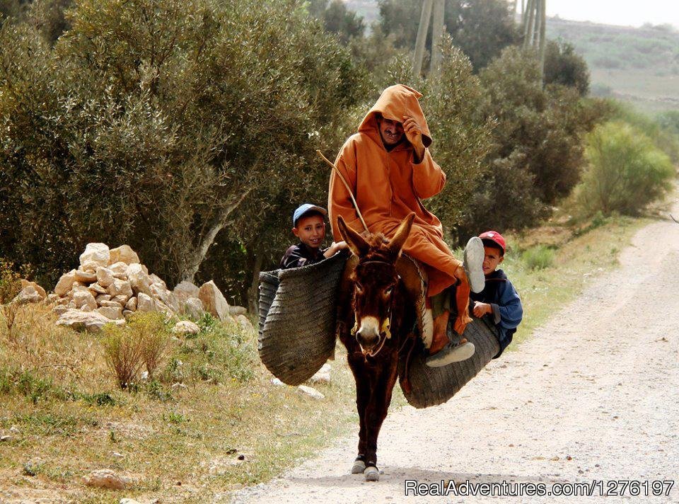 Morocco Tours - Sahara Camel Trek- Morocco Travel. | Image #2/11 | 