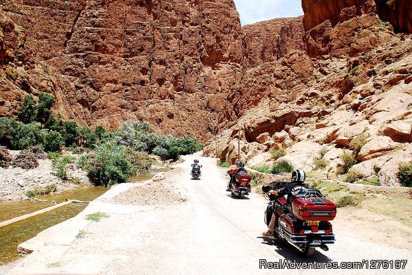 Morocco Tours - Sahara Camel Trek- Morocco Travel. | Image #7/11 | 