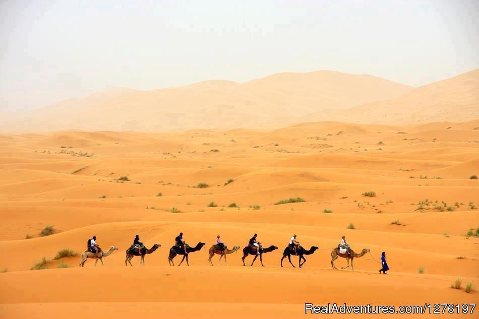 Morocco Tours - Sahara Camel Trek- Morocco Travel. | Image #8/11 | 