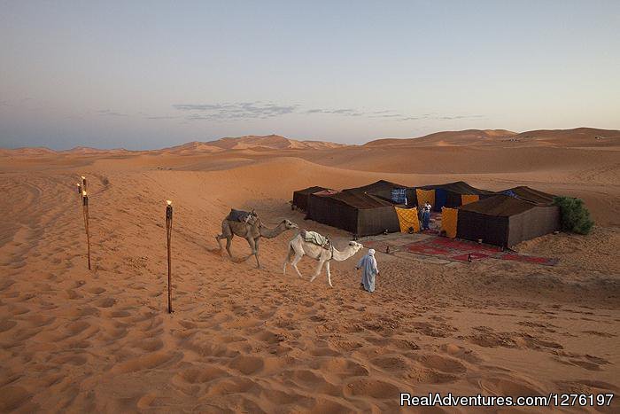 Morocco Tours - Sahara Camel Trek- Morocco Travel. | Image #9/11 | 