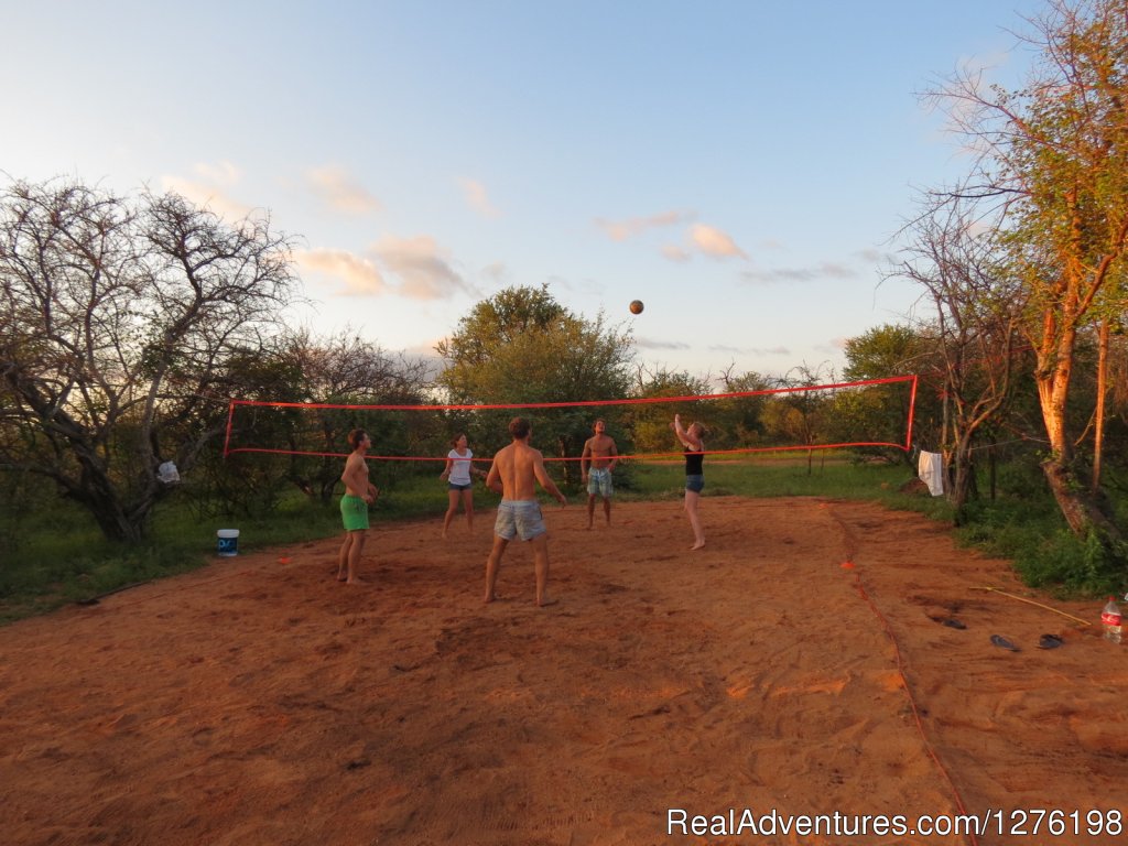 A bit of volley ball after work | Wildlife Volunteering South Africa | Image #5/12 | 