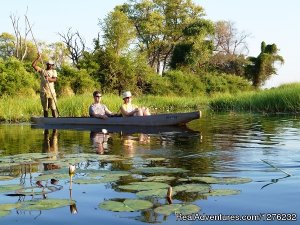 Victoria Falls - Okavango Delta Self-Drive Safari | Maun, Botswana Wildlife & Safari Tours | Botswana