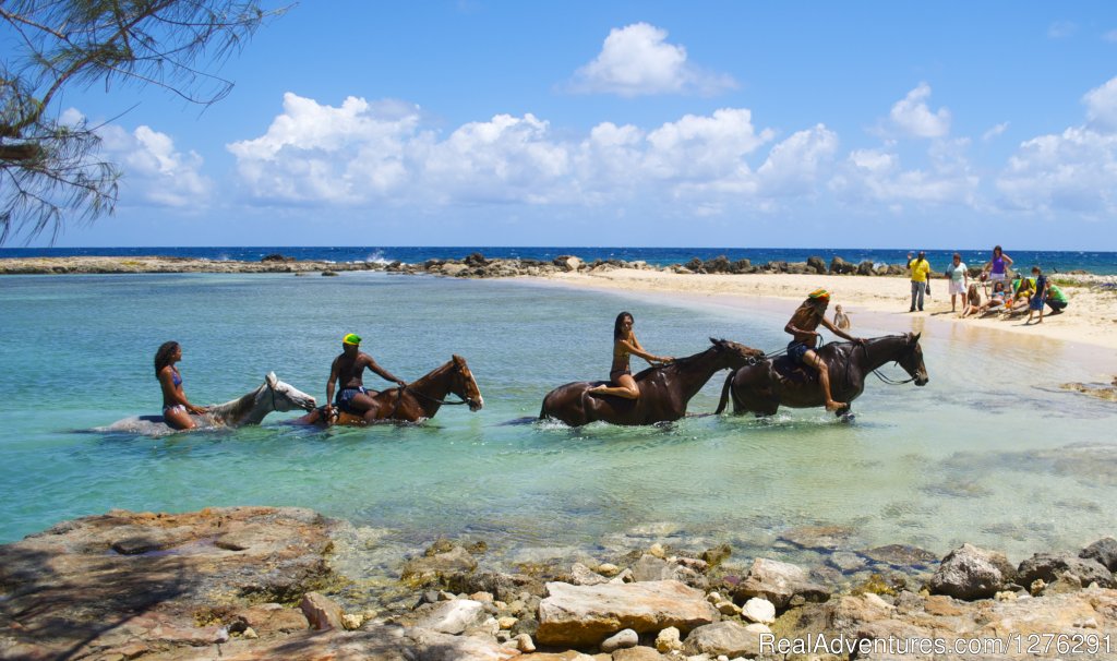 Rise a Seahorse into Paradise | Braco Stables, Jamaica Horseback Ride n' Swim Tour | Duncans, Trelawny, Jamaica | Horseback Riding & Dude Ranches | Image #1/2 | 
