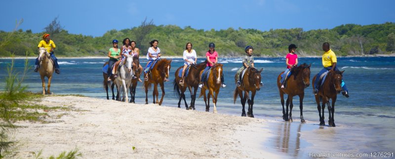 Beach Ride | Braco Stables, Jamaica Horseback Ride n' Swim Tour | Image #2/2 | 
