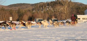 Valley Snow Dogz - White Mountain Sled Dog Tours | Thornton, New Hampshire Dog Sledding | The Forks, Maine Dog Sledding