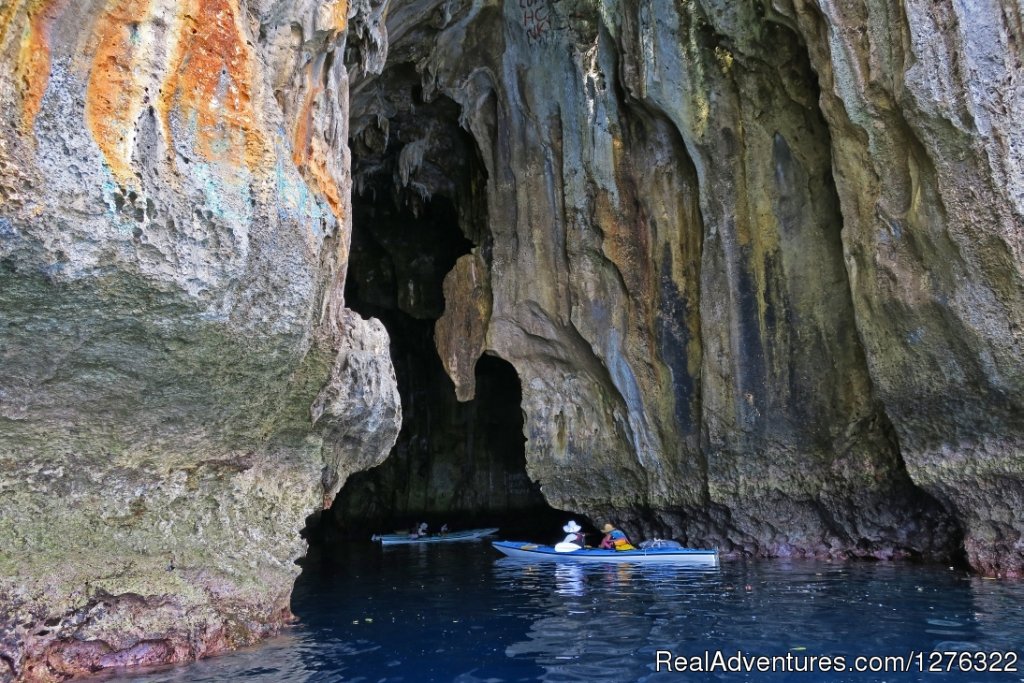 Swallows Cave, Vava'u | Friendly Islands Kayak Company, Kingdom Of Tonga | Image #4/25 | 