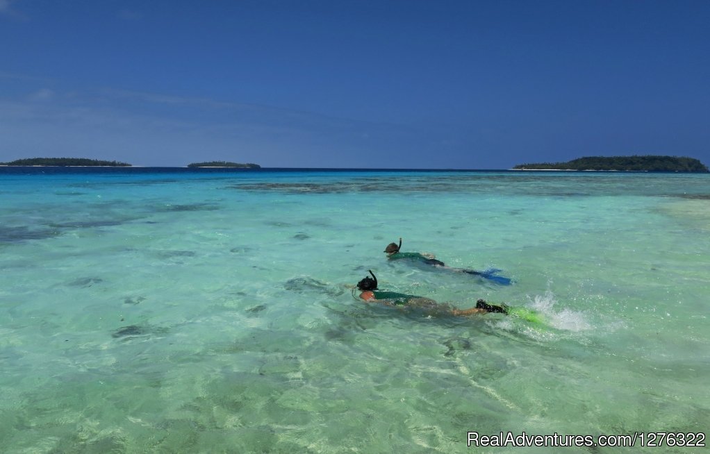 Exquisite Snorkelling | Friendly Islands Kayak Company, Kingdom Of Tonga | Image #11/25 | 