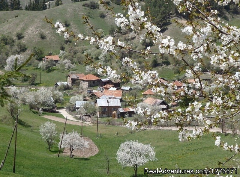 Cheresovo Village in Rhodope Mountains | Hiking in Bulgaria with a Private Guide | Image #14/23 | 