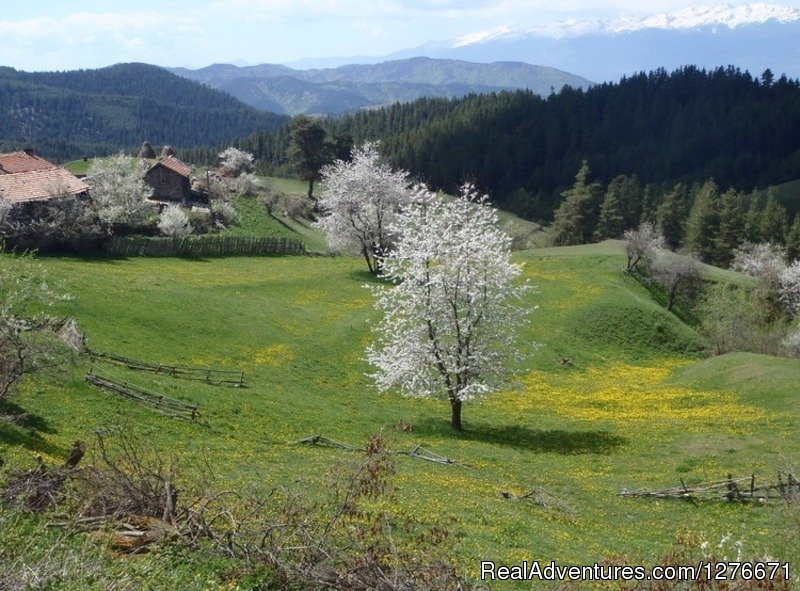 Spring in Rhodopes | Hiking in Bulgaria with a Private Guide | Image #22/23 | 