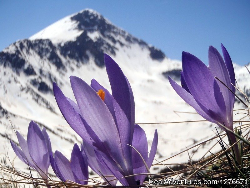 Spring in Pirin Mountains | Hiking in Bulgaria with a Private Guide | Image #13/23 | 