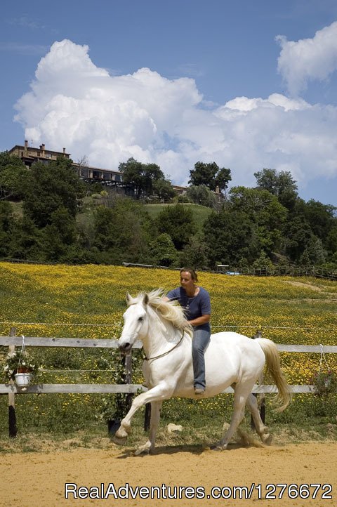 Horse riding | Relax and Beauty in Tuscany Maremma | Image #3/8 | 