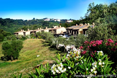 Appartments '' Borgo degli Ulivi '' View