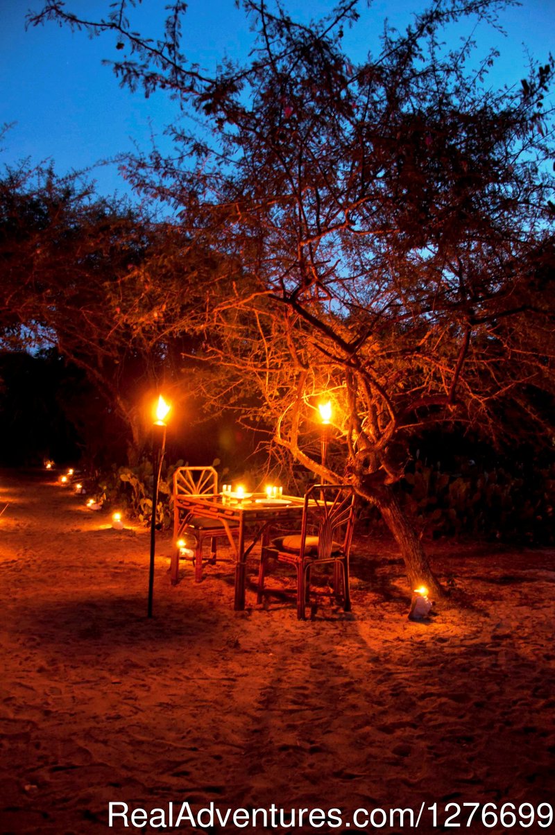 Outdoor Dining in the Scrub jungle | Hotel and Eco Resort with Beach chalets | Image #21/26 | 