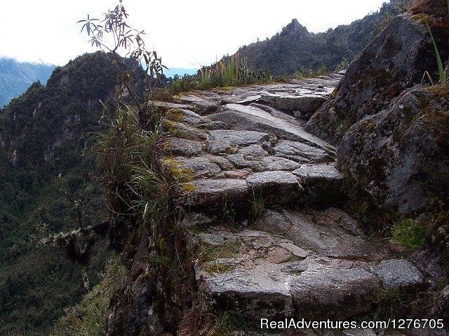 Inca Trail To Machu Picchu | Inca Trail | Image #18/19 | 