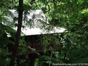 Cocoa Cottage | Trafalgar, Dominica Hotels & Resorts | Dominica Accommodations