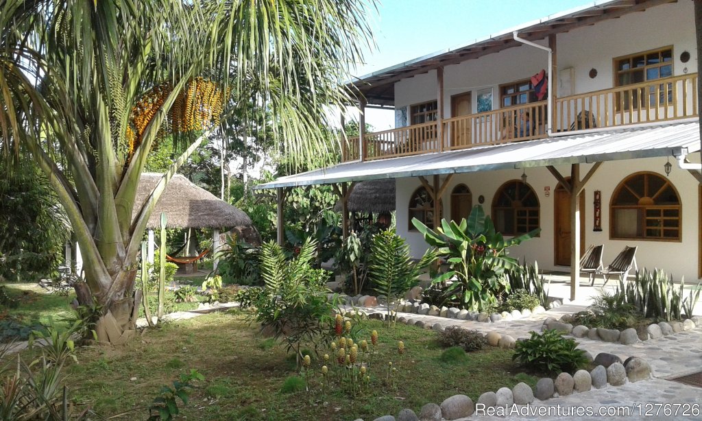 Rooms entrance, terrace, Banana Lodge | Ecuadorian Jungle on a budget Banana Lodge | Image #2/5 | 