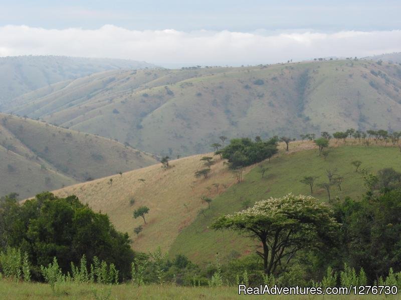 Rwanda | Uganda Tours and Safaris | Image #3/4 | 