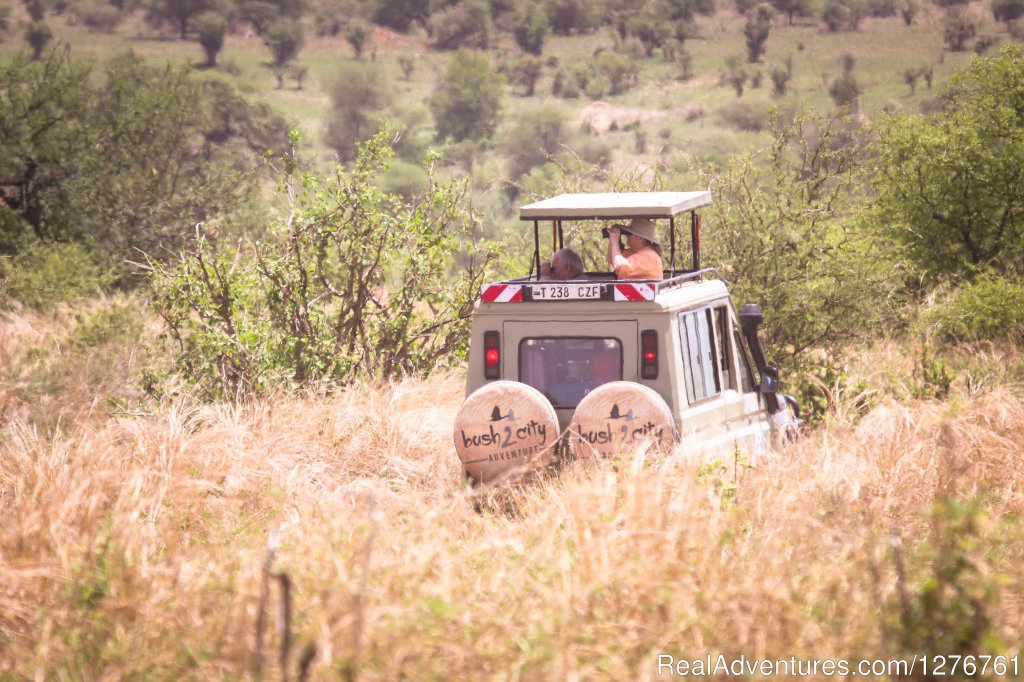 Game Drive | 12 Days Kenya and Tanzania Wildlife Safari | Image #11/26 | 