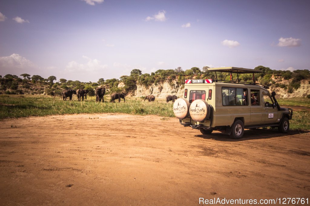 Our game drive | 12 Days Kenya and Tanzania Wildlife Safari | Image #24/26 | 