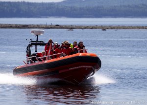 St. Andrews Ocean Adventures Whale Watching | St. Andrews, New Brunswick Whale Watching | Great Vacations & Exciting Destinations