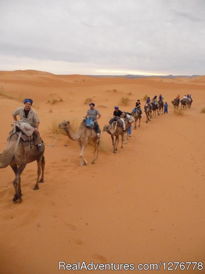 Camel Ride | Thrill of morocco tours | Image #4/4 | 