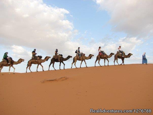 Morocco Desert Tours | Marakech, Morocco | Camel Riding | Image #1/4 | 