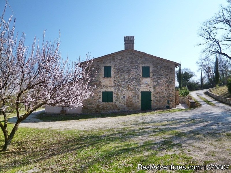 Farmhouse Casale del Noce | Old stonehouse with pool in the heart of Italy | Image #6/7 | 