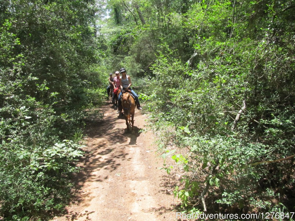 Miles of trails: | Horseback riding/lessons on beautiful Spring Creek | Image #3/24 | 