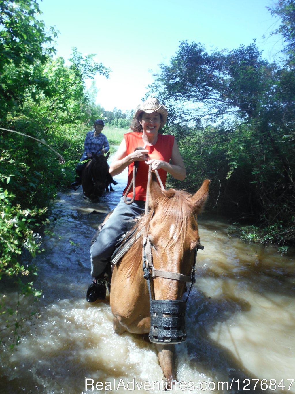 Thank God for surefooted horses: | Horseback riding/lessons on beautiful Spring Creek | Image #13/24 | 